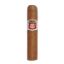 HOYO DE MONTERREY PETIT ROBUSTOS