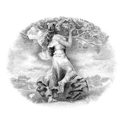 Εικόνα για τον κατασκευαστή Harlan estate